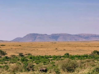 商务部研究院发布《中国与非洲经贸关系报告（2023）》