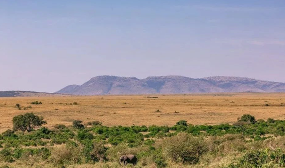 中国非洲对外经贸发展