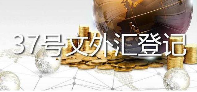 37号文外汇登记