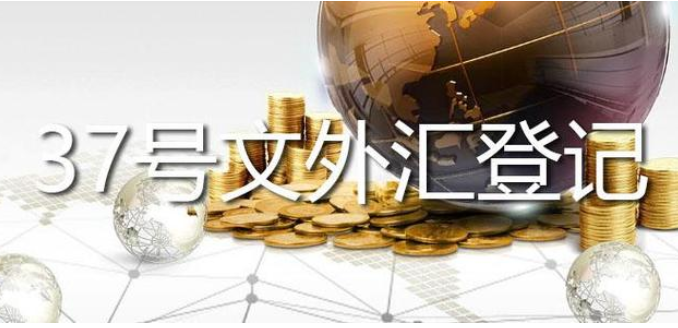 37号文外汇登记