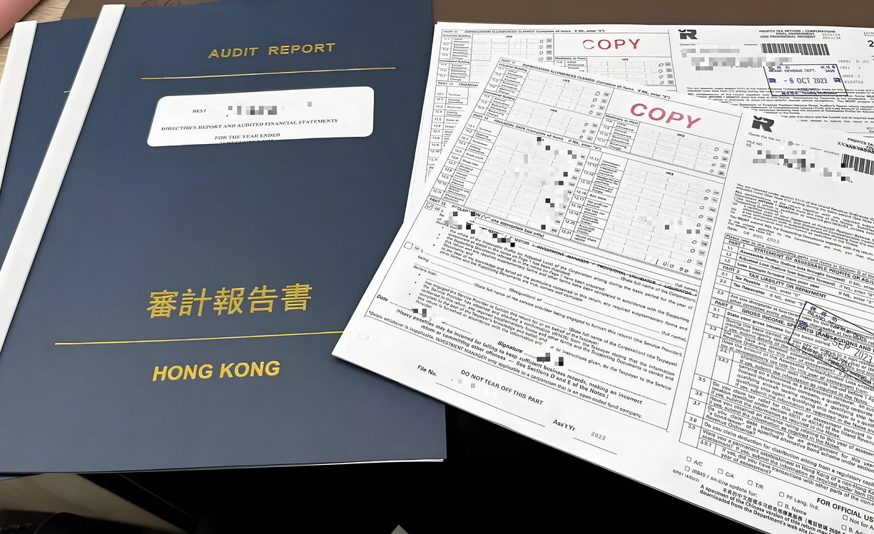 香港公司审计报告样本