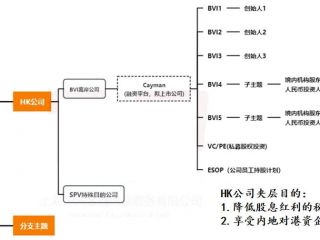 搭建离岸VIE架构时，注册WFOE公司有什么作用