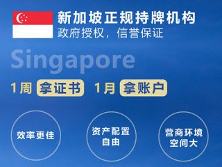 新加坡公司注册全攻略：2025年最新政策与维护指南