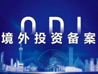 ODI境外投资备案，深入分析行业需求与潜力