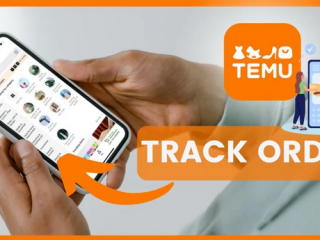 Temu上线第三方，大卖家如何借助香港公司及海外仓抢占优势