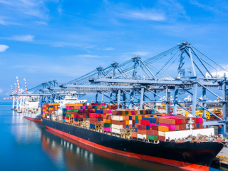 宠物品牌出海新机遇：欧洲“绿色革命”下如何掘金千亿赛道？